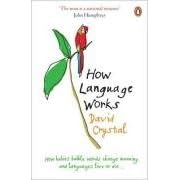 How Language Works: How Babies Babble, Words Change Meaning and Languages Live or Die