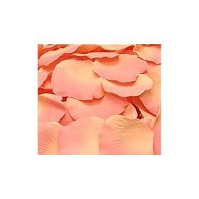 Silk Rose Petals - PINK/PEACH MELON - 200 petals/bag