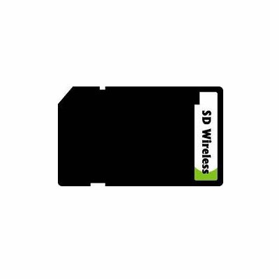 Childrens Toyshop  Computer : Techfocus WiFi Wireless 802.11b LAN SDIO Adapter Card