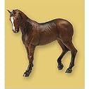Papo: English Thoroughbred