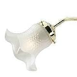 Lamp Accessories