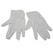 Anti Static Gloves (LG)