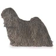 7.5cm x 5cm Acrylic Fridge Magnet-Puli