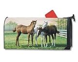 Horsin Around Magnetic Mailbox Cover (Standard Size)