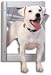 PetSafe Replacement Flap XLarge for Classic 13 3/4 x 23