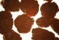 Sauerkirschen, 100g - entsteint, ungezuckert & ungeschwefelt -