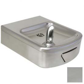 valentine Fountain Single Stainless Steel BubblerB005EAFR4U