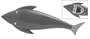 AnimalHouse Shark Bottle Opener