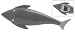 Black & White Shark Bottle Opener