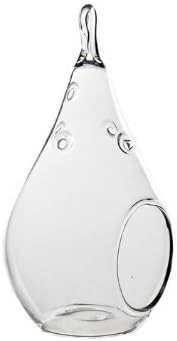 Hanging Pear Shape Glass Terrarium 3 Set