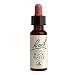 Rock Water Tincture 20 ml, 0.70 fl. oz.