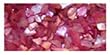 Sea Jems Acrylic 13 - Dusty Rose