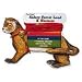 Four Paws Ferret Lead and Harness
