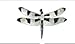 Twelve-spotted Skimmer Dragonfly Silver and Enamel title=
