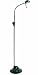 CRAFTERS HALOGEN READING FLOOR LAMP