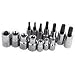 Craftsman 14 pc. Easy to Read Torx Bit Set, 1/4 and 3/8 in. Drives - 34913
