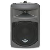 Samson dB300 12 2 Way Passive PA Cabinet