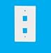 Keystone Modular Style Wall Face Plate, 2 Ports, White