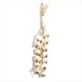 Garlic Strand Wall Decor