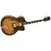 J5 Hollow Body Electric Guitar