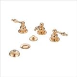 Bidet Set by Danze - D326455-PBV in Polished Brass