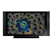 Pioneer PRO 151FD - 60" Elite KURO plasma TV with built-in network media player - widescreen - 1080p (FullHD) - HDTV