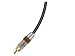 Ethereal Audio Subwoofer Cable - 1 x RCA - 1 x RCA - 19.69ft