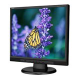 19IN LCD 800:1 1280X1025 5MS Spkrs Head Phone Tilt Screen