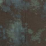 Buy 10 x 24 Sherwood Forest Hand-Painted Muslin Background 