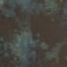 10 x 24 Sherwood Forest Hand-Painted Muslin Background
