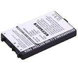 Nintendo DS Battery NTR003