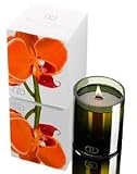 Dayna Decker Large Botanika Candle - Clementine - 16 oz.