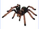Bitz Tarantula Puzzle