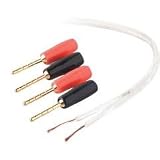 100' 16-Gauge Speaker Wire and Pins