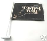 Tampa Bay Devil Rays Car Flag