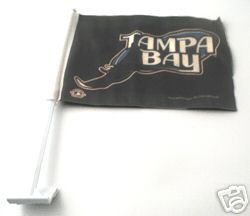 Tampa Bay Rays Car Flag