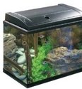 Eheim mp 0460810 terra Set 80