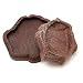 Zoo Med Repti Rock Reptile Food and Water Dish Combo