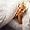 SLEEP SAFE BED BUG, DUST MITE, and ALLERGEN PROOF 