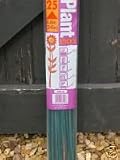 25 Green Plant Sticks 60cm