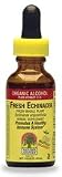 Nature's Answer Echinacea Fresh Extract 4 Fl Oz from Nature's Answer