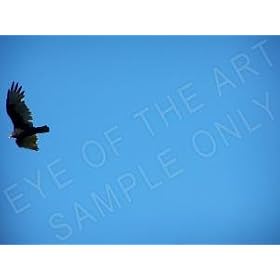 Almost Missed, Photography by Christopher Hamilton, Print