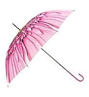 Large Floral Print Walker Umbrella
