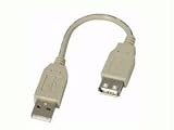 6 Inch Fully Rated USB Extension Cable A-A