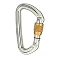 Black Diamond Quicksilver Screwgate Carabiner