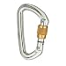 Sporting Goods : Black Diamond Quicksilver Screwgate Carabiner