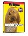 BLOODHOUND DVD! + Dog & Puppy Training Bonus