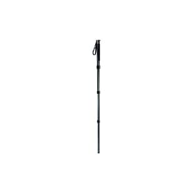 Gitzo GM5541 Series 5 6X Carbon Fiber 4-Section Monopod with G-Lock - Replaces GM5540 (Black)