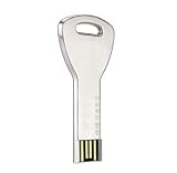 Key Shaped Stainless Steel High Speed USB 2.0 High Speed Flash Pen Drive Disk Memory Stick Support Windows and Mac OS Water Proof and Shock Proof Metallic Body with Key Ring Great Gift (1x 4GB)