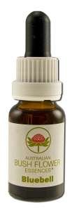 Bluebell Individual Essences - 15 ml,(Australian Bush Flower Essences)